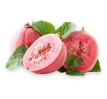 guava