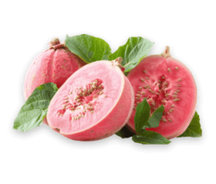 guava