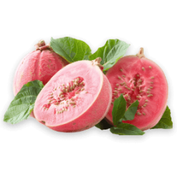 guava