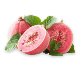 guava